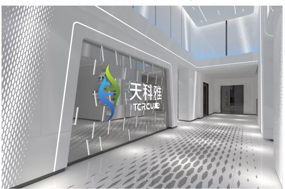 公司概況